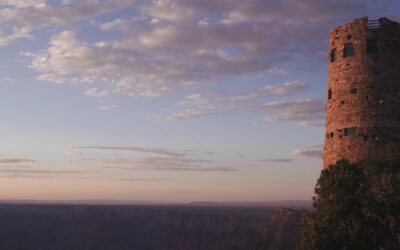 The Role of the Watchman