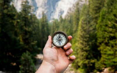 Alignment vs. Location